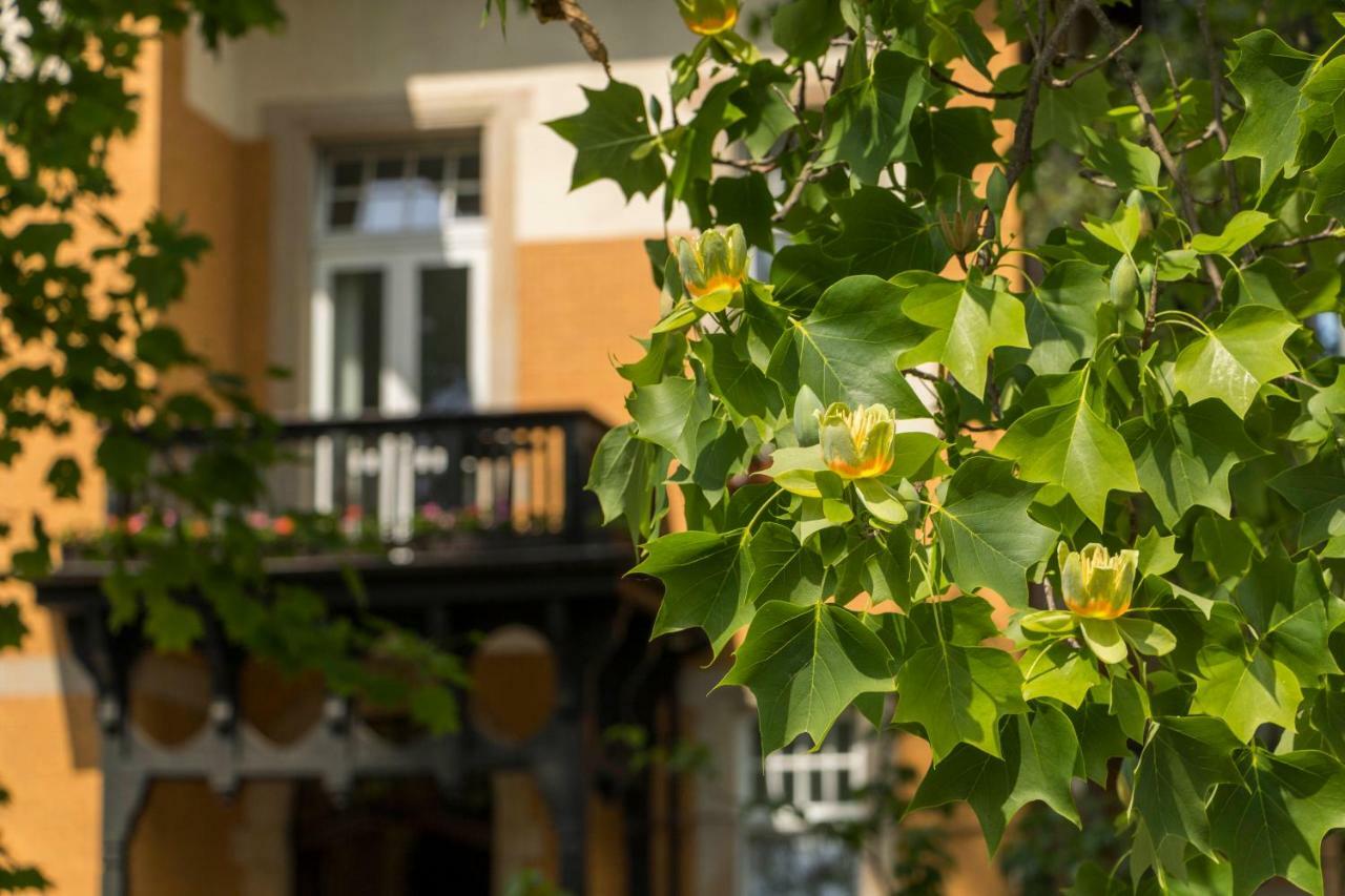 Gaestehaus Musmann Munden  Ngoại thất bức ảnh